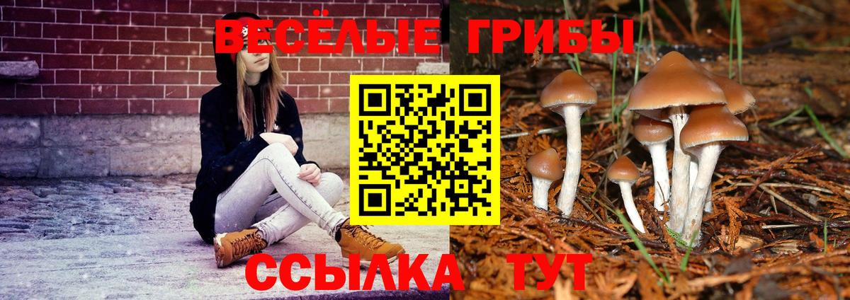 Псилоцибиновые грибы MAGIC MUSHROOMS  Вход с VPN  купить закладку  Галлюциногенные грибы Psilocybe  Тула 
